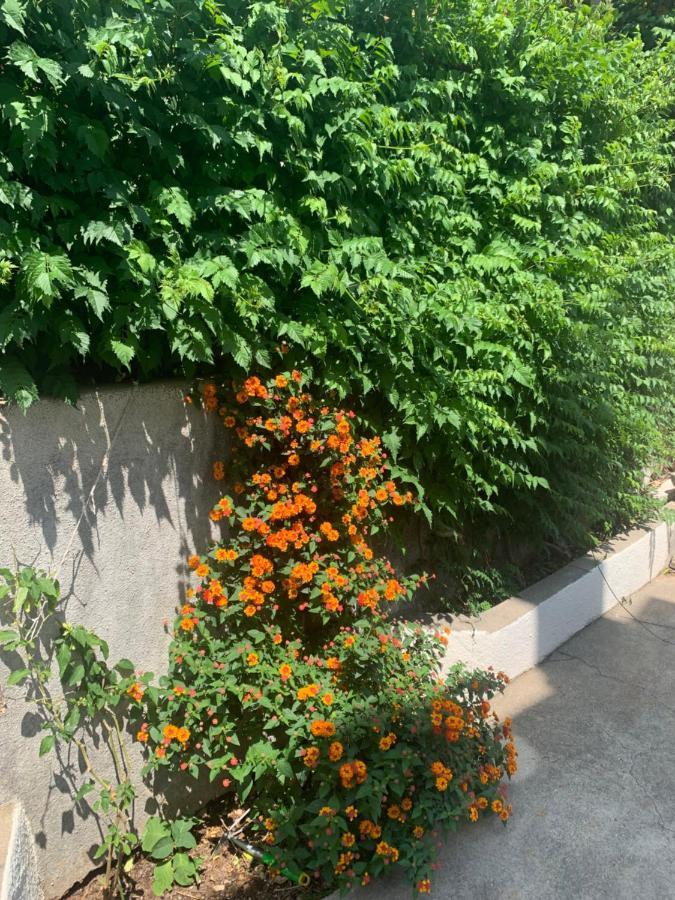 Aida Apartments And Rooms For Couples And Families Free Parking Dubrovnik Exterior photo