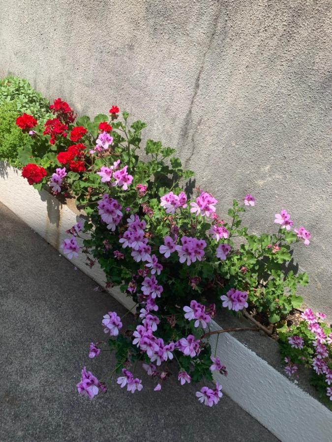 Aida Apartments And Rooms For Couples And Families Free Parking Dubrovnik Exterior photo