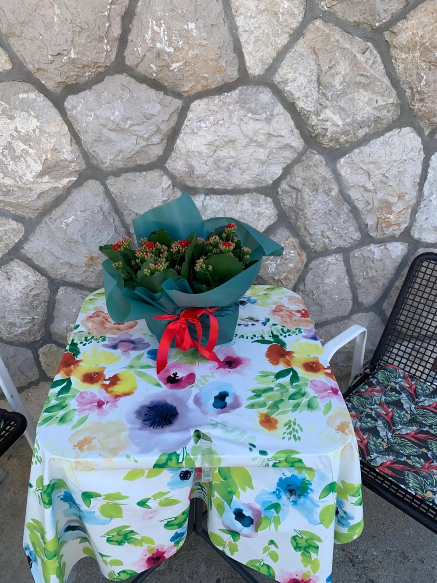 Aida Apartments And Rooms For Couples And Families Free Parking Dubrovnik Exterior photo