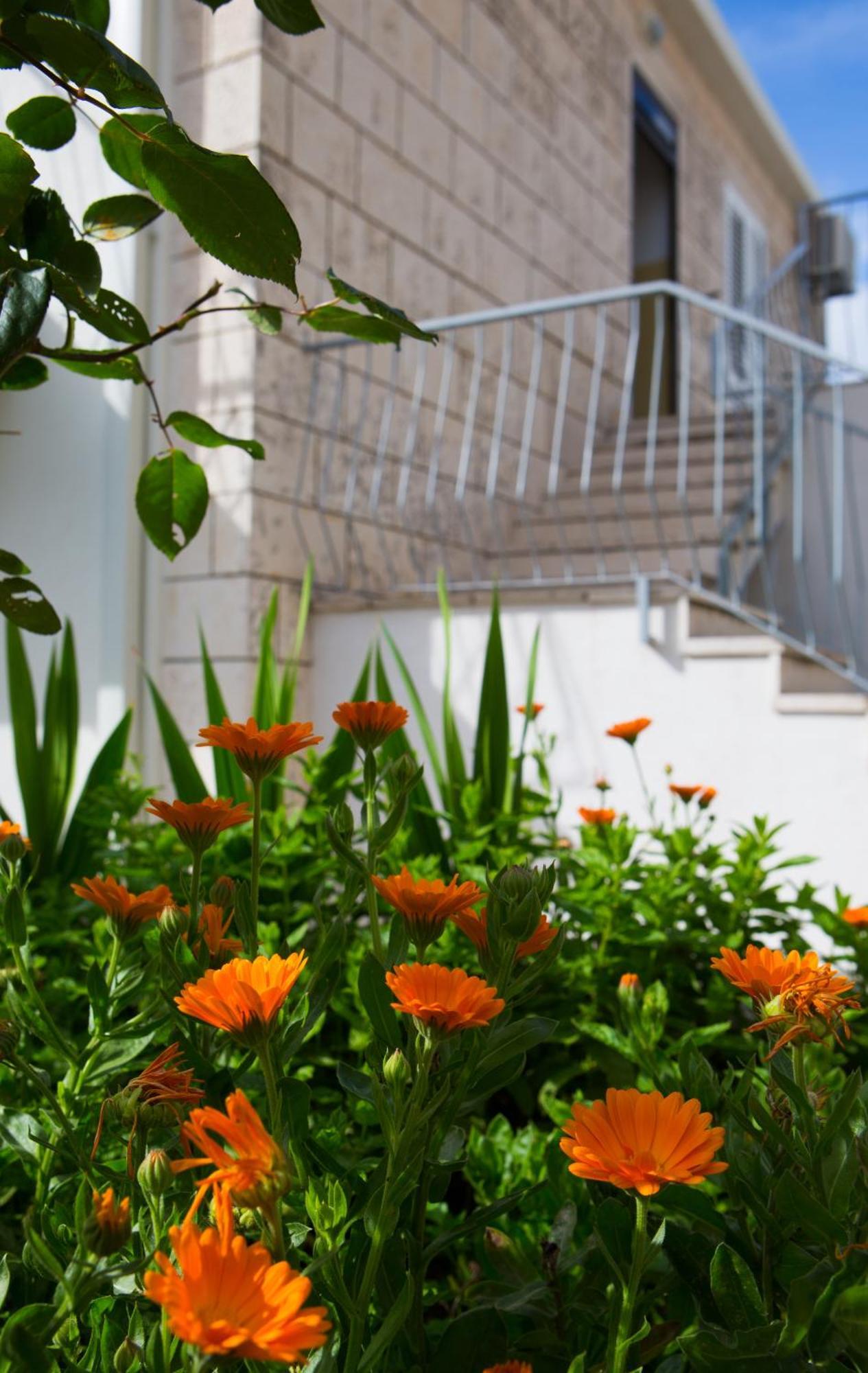 Aida Apartments And Rooms For Couples And Families Free Parking Dubrovnik Exterior photo